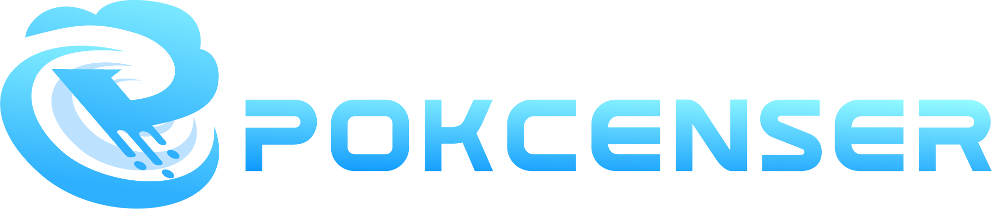 Pokcenser-Flow Level Pressure Measuring Instrument